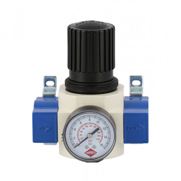 Reducteur de pression avec Manomètre 1200-1500 L/min 0-15 bar 3/8" Femelle